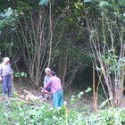20112308130806-503.jpg